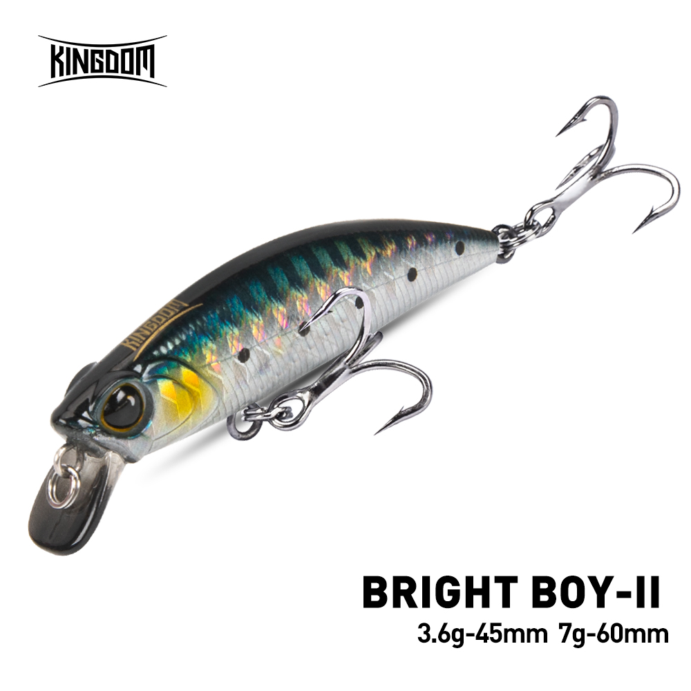 Fishing Lure Crankbait - 킹덤 싱킹 미노우 낚시 루어 45mm